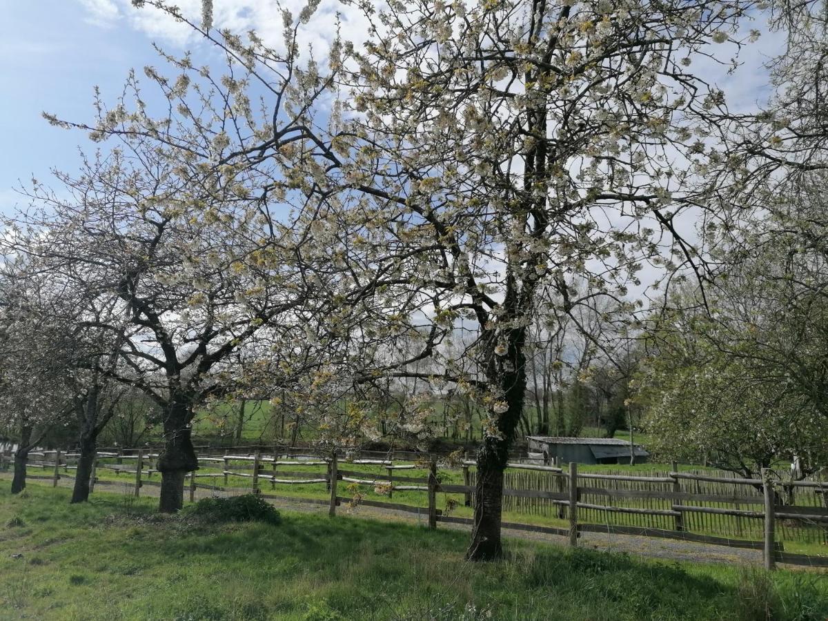 Les Petites Rives De La Motte Villa Pleugueneuc Buitenkant foto